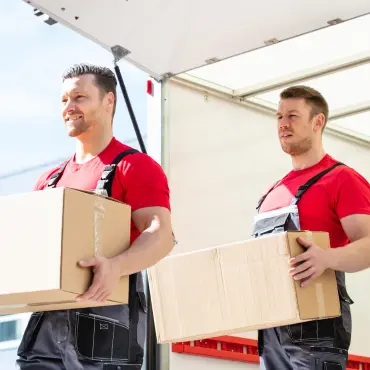 professional movers Dubai